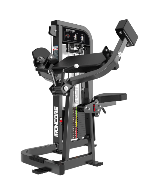 BICEPS CURL