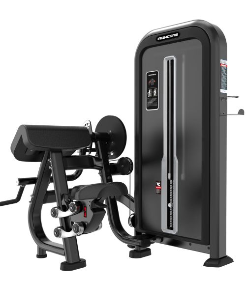 BICEPS/TRICEPS