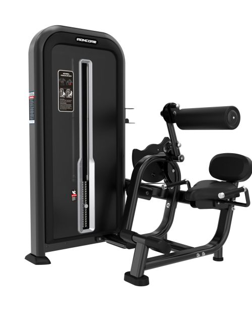ABDOMINAL CRUNCH/LOWER BACK