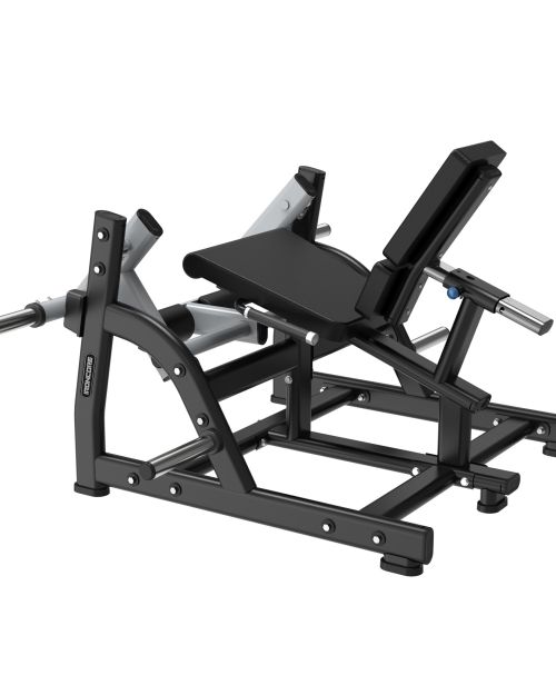 SEATED LEG EXTENSION